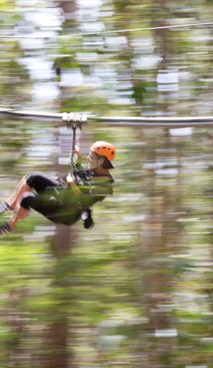 Flying Fox